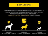 퓨리나 프로플랜 브라인트마인드 사료 체험기 - 펫리코Petrico 사료리뷰 | 강아지, 노화, 대체 에너지