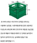 학교에서 왕따당하는 사촌동생을 본 사촌오빠..