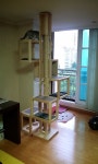 Outdoor cat house diy에 관한 상위 25개 이상의 Pinterest 아이디어 | 동물 농장, 시원한 개집 및 개집