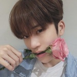 Pin by Bound By on Kpop- LUN8 (루네이트) | Mini albums, Pink