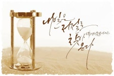 1캘리에 있는 샤와 첸님의 핀