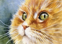 Kat에 관한 17개의 최상의 Pinterest 이미지 | 새끼 고양이, 수채화 및 고양이 아트 Kat