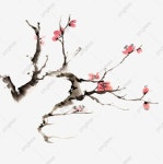매화 일러스트 수묵화, 수묵화, 손으로 그린, 가지 PNG 일러스트 및 PSD 이미지 무료 다운로드 - Pngtree | 파스텔 배경, 가지, 그래픽