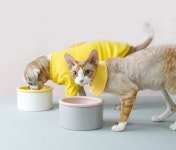 식기매트에 있는 해인 유님의 핀 - 2023