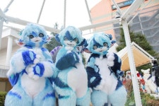 Pin by Puyu on 퍼슈트 (Fursuit) | Furry, Fictional characters, Animal pictures