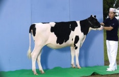 서울우유 아름다운 젖소 4회 1부 최우수 대호목장