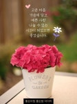 예쁜 사랑 나누는 시간 되시길 | 영감을 주는 인용구