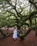 Angel Oak Tree in Charleston, South Carolina | America travel, North america travel, Photo spots