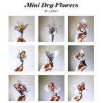 🌿 드라이플라워 미니시리즈 소소한 행복 데려가세요... ##Liziday #리지데이 #instaflower #flower #daily… | 드라이 플라워...