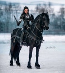 Pin by 김 한세 on твари in 2020 | Horses, Horse costumes, Horse girl photography