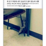 냥덕후mellow.j2016/02/11 05:02:29 | 고양이, 개, 귀여운 고양이... 猫#냥성애자 #냥덕후mellow.j2016/02/11 05:02:29 | 고양이, 개, 귀여운 고양이