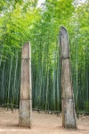 Ahopsan Forest (아홉산숲) in Busan: Complete Guide The Gate in Kdrama, The King: Eternal Monarch, at Ahopsan Forest in Busan... 