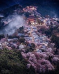 「사진」おしゃれまとめの人気アイデア｜Pinterest｜AAAA | 都市景観, 風景, 美しい風景