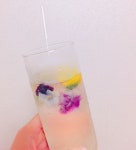 에스지푸드당산플라워프리엘라 | 청담 ssg 푸드마켓 식용꽃, 플라워에이드 | Food, Glassware, Beer glasses