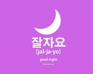 Bunnies에 관한 196개의 최상의 Pinterest 이미지 | 귀여운 동물, Fluffy bunny 및 토끼 Bunnies