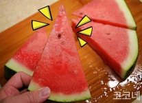 수박장인이 알려주는 수박 더 맛있게 먹는 노하우 | 수박, 과일, 가지
