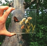 Handpicked pressed and dried genuine flowers with genuine... resin Coaster Nature inspired home decor | 압화, 에폭시, 공예