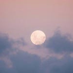 ☁️ 요근래 달이 너무 예뻐서 하늘 보면 기분 좋아져. ☁️ 요근래 달이 너무 예뻐서 하늘 보면 기분 좋아져. | Instagram posts... 