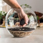•플랜테리어 Terrarium 으로 나만의 아늑한 실내정원 만들기!