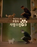 A Good Day to be a Dog - Picture (Drama, 2023, 오늘도 사랑스럽개) A Good Day to be a Dog - Picture (Drama, 2023, 오늘도 사랑스... 