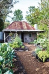 Gardening에 관한 31개의 최상의 Pinterest 이미지 | 채소 정원, 정원 가꾸기 및 퍼머컬쳐 Gardening