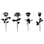 장미타투도안 #장미타투디자인 #장미타투추천 #블랙워크장미 #rosetattoo #블랙워크타투도안 #블랙타투 #블랙워크타투도안 #tattooflash