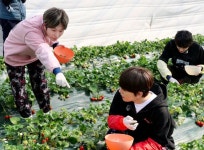 W24 #W24에 있는 Val Sanabria님의 핀 - 2021
