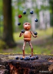 생태미술에 있는 Wanho Son님의 핀 | 도토리, 목공예