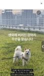 야구장에 버려진 강아지 근황