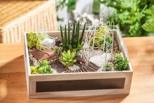 Épinglé par 송현 박 sur 다육 아트 | Jardin miniature, Mini jardins, Jardins miniatures