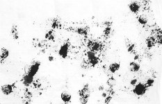 t117_B_texture_김준호_26