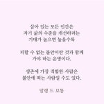 영화, 음악 및 책에 있는 핀