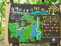 멋진 풍경에 있는 기원 김님의 핀