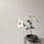 Thinking flowers reflecting my mixed emotions. . . . . . . . . .. #floral#flowers #florist #flowersofinstagram #anemone...