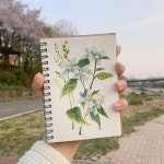 Pin page Oil Pastel🕯 : 소프트 오일데이 on Instagram: “오늘... ☁️🍏 + 이번주 클래스 그릴 꽃입니둥 -  #오일파스텔... 
