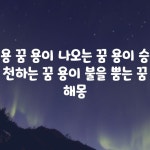 용 꿈 용이 나오는 꿈 용이 승천하는 꿈 용이 불을 뿜는 꿈 해몽 용 꿈 용이 나오는 꿈 용이 승천하는 꿈 용이 불을 뿜는 꿈 해몽 trong 2024