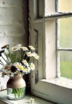 Pin by Beauty soogi on 수채화 | Seasons
