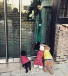 2018  _  누나 어디가.