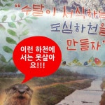 수달이 안심하도록 하천 호안이 달라져야합니다.