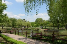 용산가족공원 - Google 검색 | 소풍, 유치원 아이디어