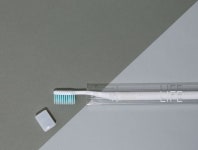 10x10: 라이프 365 칫솔 12개SET (new package) - 2020 | 치약