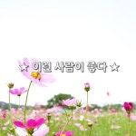 이런 사람이 좋다 ★ 이런 사람이 좋다 ★ 그리우면 그립다고 말할 줄 아는 사람이 좋고 불가능 속에서도 한 줄기 빛을 보기위해 애쓰는 사람이... 