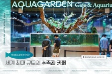 아쿠아테리어, 들어보셨나요? ‘물멍’이 가능한 이색 테마 카페, 롯데월드몰에서 #아쿠아가든 을 만나보세요! 아쿠아가든 – 할인 이벤트 최신 정보
