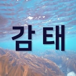 에클로니아 프리미엄 7이 더 궁금하시다면 “9시 35분 포스트”에서 확인해 주세요! #에클로니아프리미엄7… - 2023