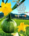 따뜻한 문구 | 일요일 아침 인사 이미지, 민들레, 가을