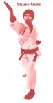 Shotokan에 관한 42개의 최상의 Pinterest 이미지 | 운동, 브라질 및 합기도 Shotokan