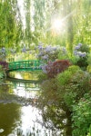 Épinglé par 0young1111 sur 정원 | Jardin monet, Jardin deau, Paysage