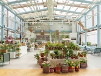 Oops-A-Daisy 웁스어데이지 안산 카페 인테리어 건축 설계 식물 디자인 Pin on interior design