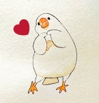 Pin on 꼬꼬