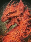 Dragonnflamed | 용